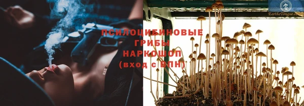 соль ск Абдулино