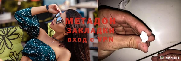 прущие грибы Алзамай