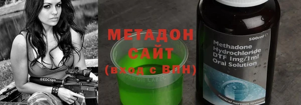 прущие грибы Алзамай
