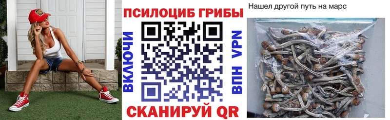 Галлюциногенные грибы GOLDEN TEACHER  Устюжна 